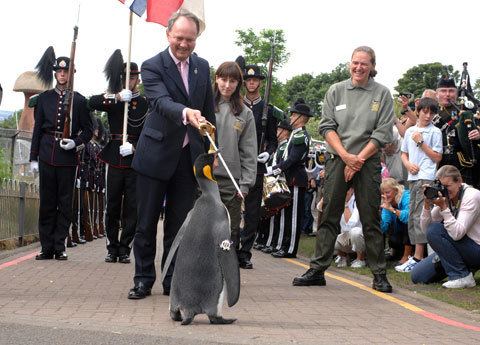Nils Olav Meet Nils Olav a Penguin who was Knighted and Made Colonel by the