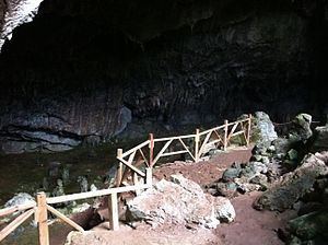 Nimara Cave httpsuploadwikimediaorgwikipediacommonsthu