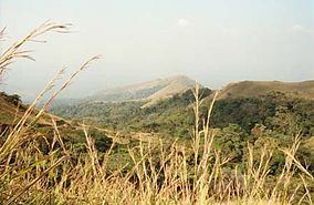 Nimba National Forest httpsuploadwikimediaorgwikipediacommonsthu