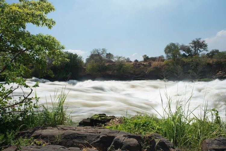 Nimule National Park Panoramio Photo of The rapids of the White Nile at Nimule National