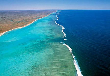 Ningaloo Coast Ningaloo Marine Park Western Australia Australian Marine