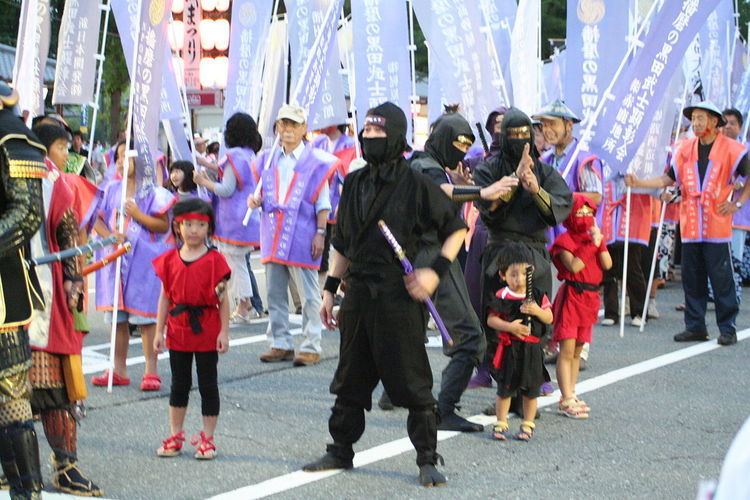 Ninja in popular culture