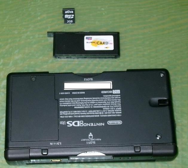 ds cartridge with sd card