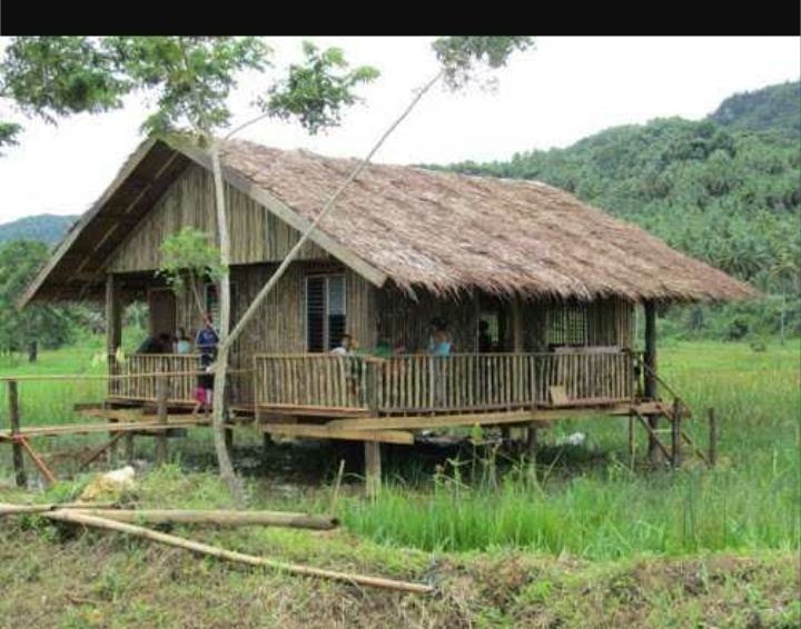 A nipa hut with people inside beside a tree and surrounded by rice fields. It is a type of stilt house indigenous to the Philippines