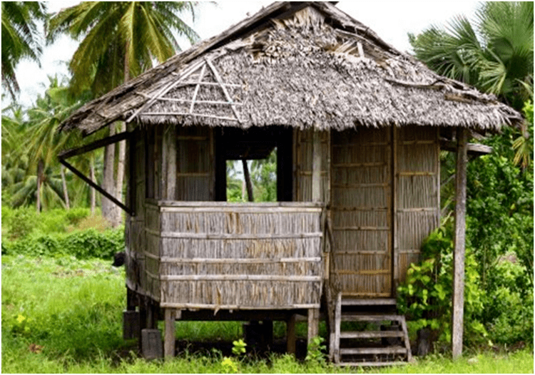 A nipa hut with stairs and surrounded by coconut trees.