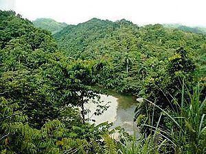 Nipe-Sagua-Baracoa httpsuploadwikimediaorgwikipediacommonsthu