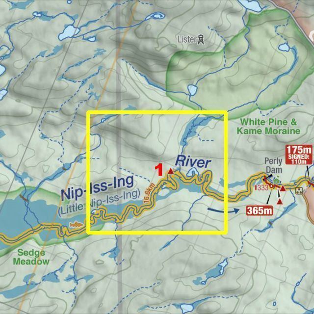 Nipissing River AlgonquinAdventurescom Nipissing River Long Marsh Campsite 1