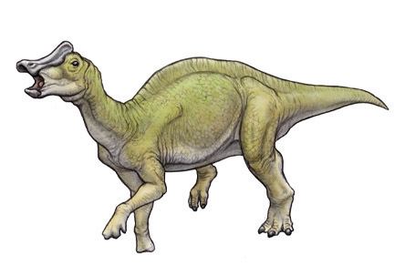 Nipponosaurus Index of iio