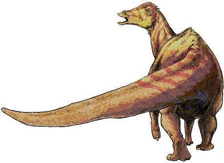 Nipponosaurus Nipponosaurus Dinosaur Facts information about the dinosaur
