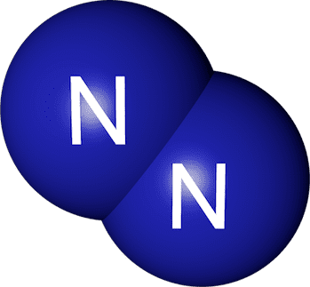 Nitrogen Ammonification Definition amp Nitrogen Cycle Video amp Lesson