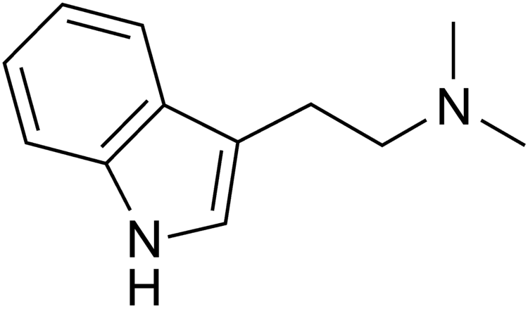 N,N-Dimethyltryptamine NNDimethyltryptamine DMT base THC Pharm