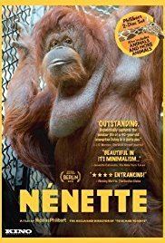 Nénette Nnette 2010 IMDb