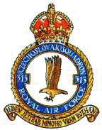 No. 313 Squadron RAF