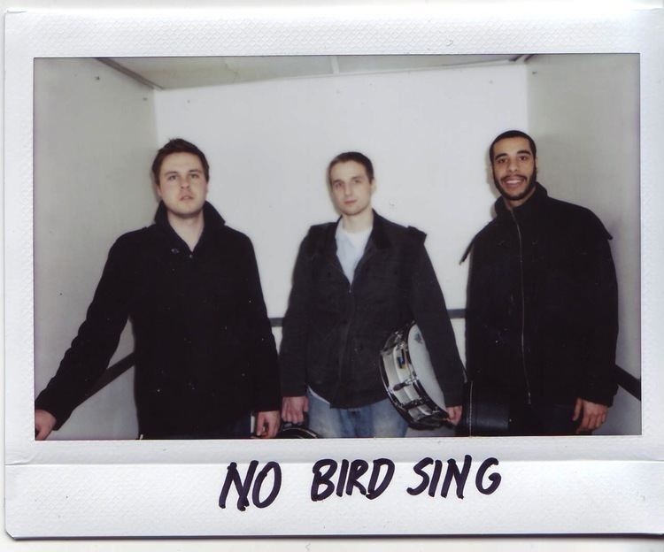 No Bird Sing Feature Of The Week No Bird Sing