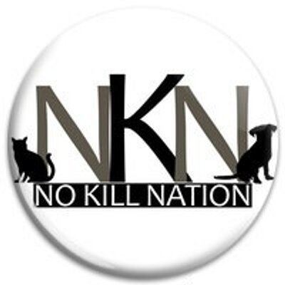 No-kill shelter No Kill Nation Inc NoKillNation Twitter