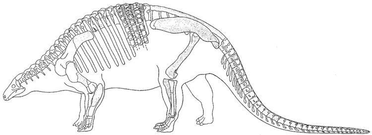 Nodosaurinae