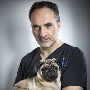 Noel Fitzpatrick Veterinary Medicine and Science Subject Information