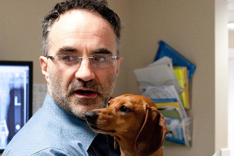 Noel Fitzpatrick wwwfitzpatrickreferralscoukwpcontentuploads