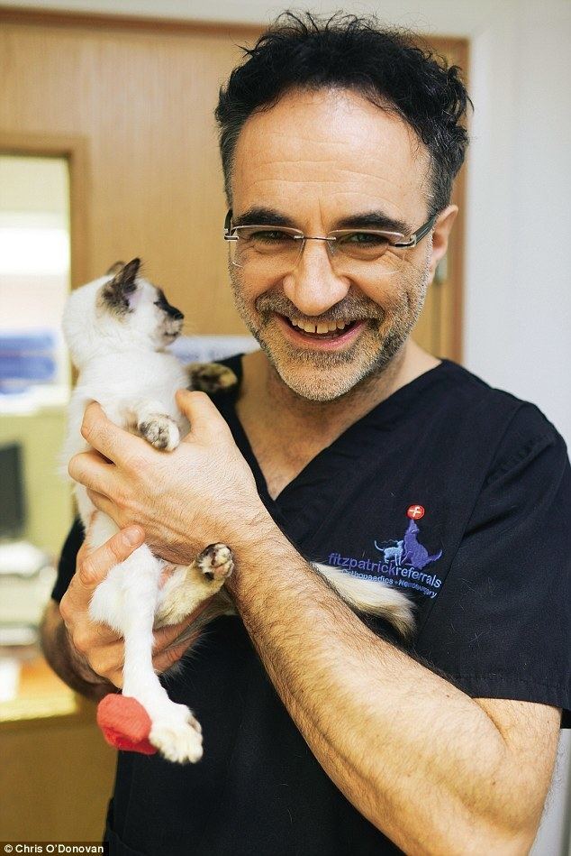 Noel Fitzpatrick On the furry frontline with Doctor Doalot What happened