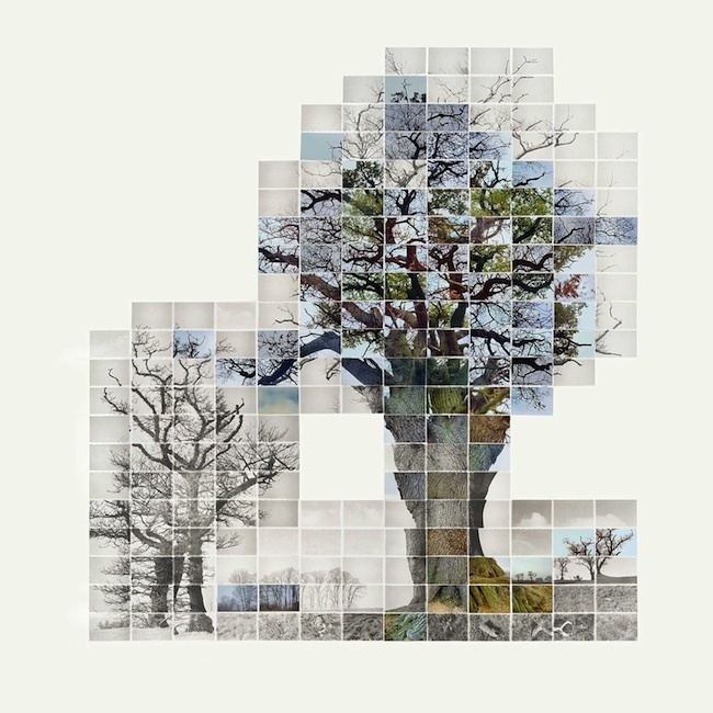 Noel Myles Stunning Tree Mosaics by Noel Myles