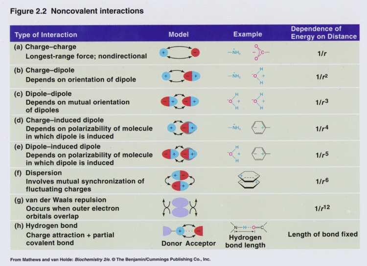 Non-covalent interactions Noncovalent Interactions
