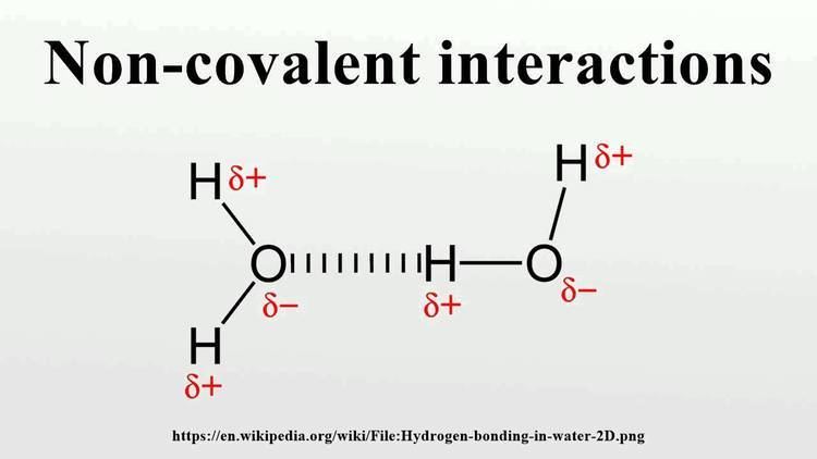 Non-covalent interactions Noncovalent interactions YouTube