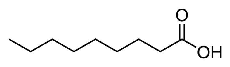 Nonanoic acid FilePelargonic acidsvg Wikimedia Commons