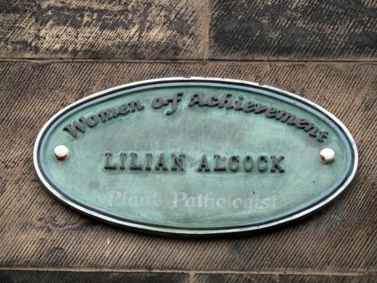 Nora Lilian Alcock Memorial plaque to Nora Lilian Alcock Mapping Memorials to Women