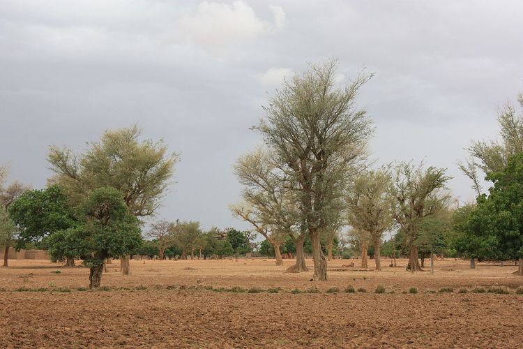 Nord Region (Burkina Faso)