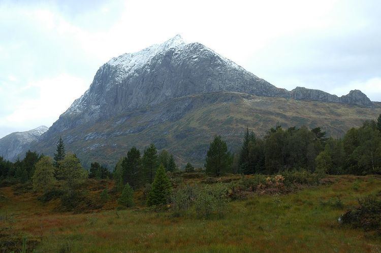 Nordfjord-Sogn Detachment