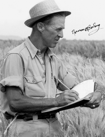 Norman Bor Norman Borlaug y la Revolucin Verde Apuntes de