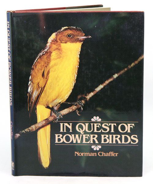 Norman Chaffer In quest of bower birds Norman Chaffer