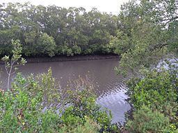 Norman Creek (Queensland) httpsuploadwikimediaorgwikipediacommonsthu