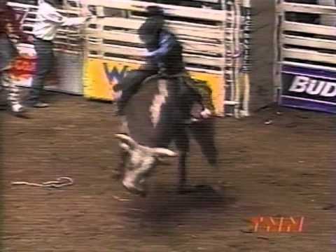 Norman Curry Norman Curry vs Hollywood 99 PBR Ft Worth 96 pts YouTube