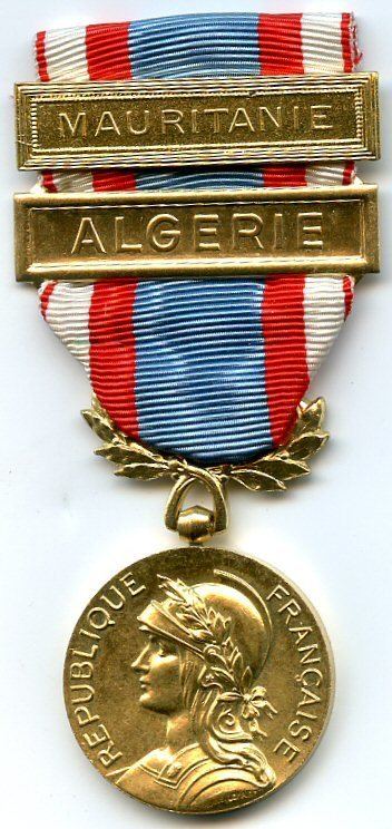 North Africa Security and Order Operations Commemorative Medal