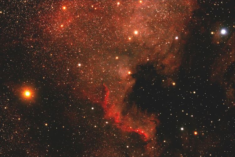 North America Nebula FileNorth america nebula ngc7000jpg Wikimedia Commons