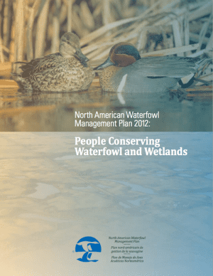 North American Waterfowl Management Plan wondrouswaterfowlweeblycomuploads186118619