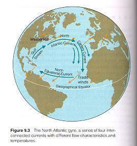 North Atlantic Gyre Ocean Currents and Climate