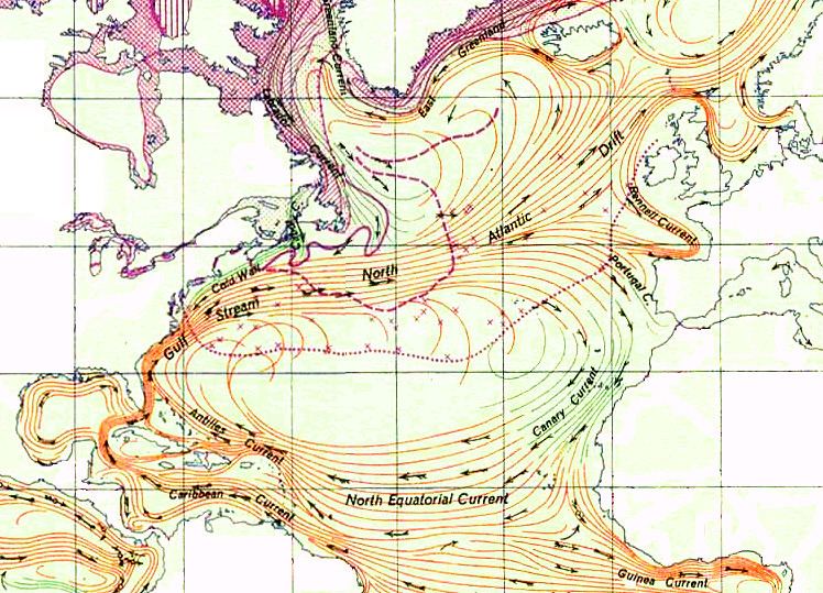 North Atlantic Gyre North Atlantic Gyre Wikipedia
