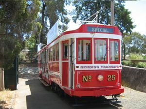 North Bendigo tram stop httpsuploadwikimediaorgwikipediacommons88