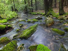 North Branch Buffalo Creek httpsuploadwikimediaorgwikipediacommonsthu