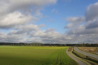 North Brandenburg Plateaux and Upland httpsuploadwikimediaorgwikipediacommonsthu