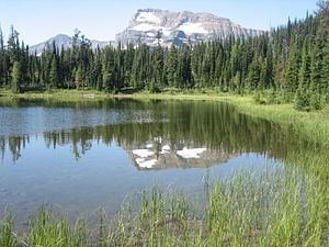North Central Rockies forest httpsuploadwikimediaorgwikipediacommonsthu