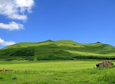 The Bashang Grassland with a bright blue sky and clouds