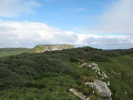 North East Island, New Zealand httpsuploadwikimediaorgwikipediacommonsthu