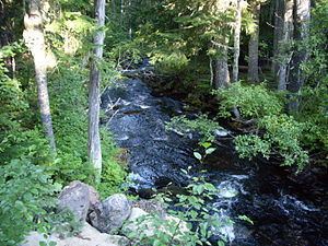 North Fork Breitenbush River httpsuploadwikimediaorgwikipediacommonsthu