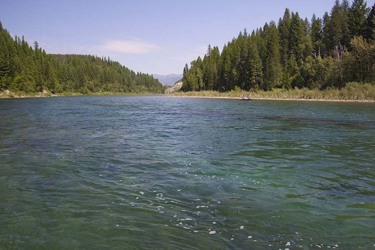 North Fork Flathead River wwwlakestreamcomwpcontentuploadsflyfishing