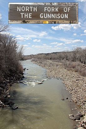 North Fork Gunnison River httpsuploadwikimediaorgwikipediacommonsthu