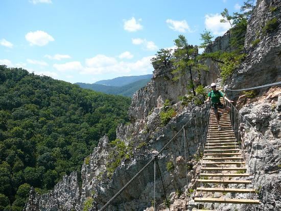 North Fork Mountain The Via Ferrata bridge highly recommend this activity 40 min