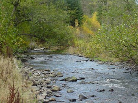 North Fork Umatilla River